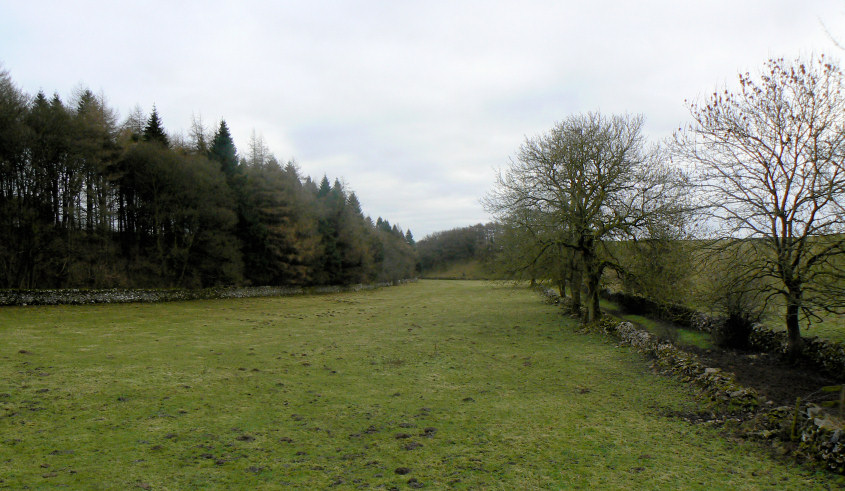 Long Dale Long Dale